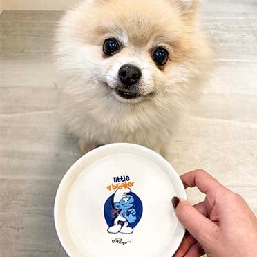 Hefty Smurf low feeding bowl 180ml - 14,2x14,2x2,5cm white/blue