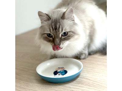 Hefty Smurf Low Feeding Bowl 180ml-14.2x14.2x2.5cm white/blue