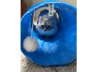 Jetpack Smurf Cat Tunnel 72x25x25cm Blue