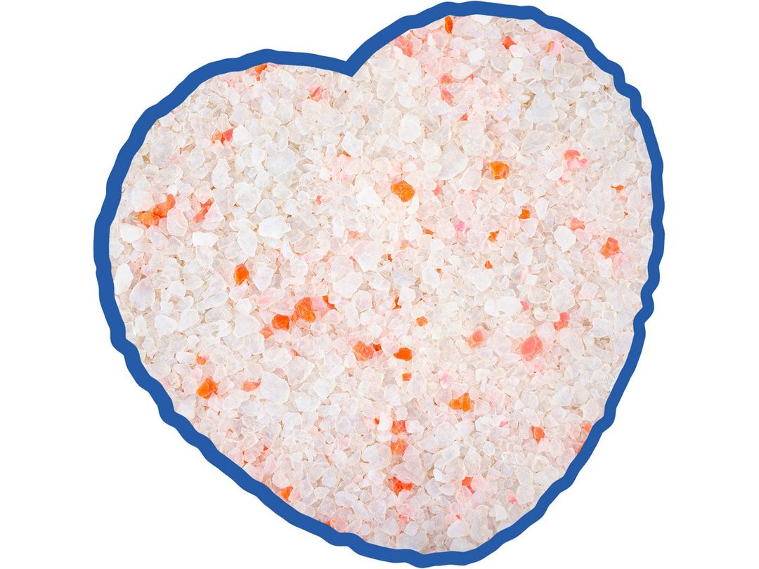 Premium Silica Cat Litter Flower - 5L