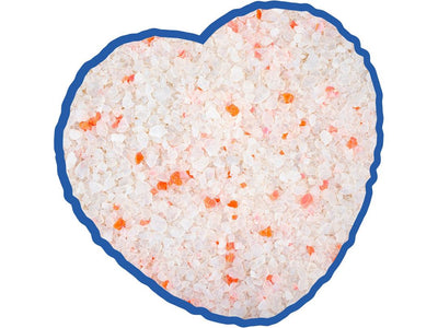 Premium Silica Cat Litter Flower - 5L