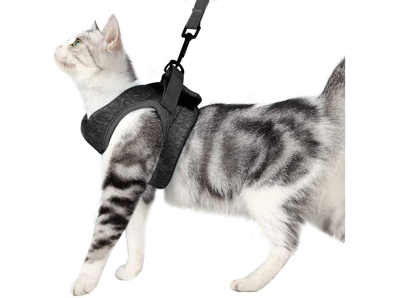 LETSGO Cat Harness & Leash Set -  Black