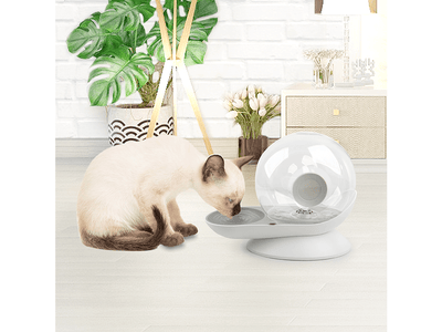 AFP Lifestyle 4 Pets - Snail Water Feeder