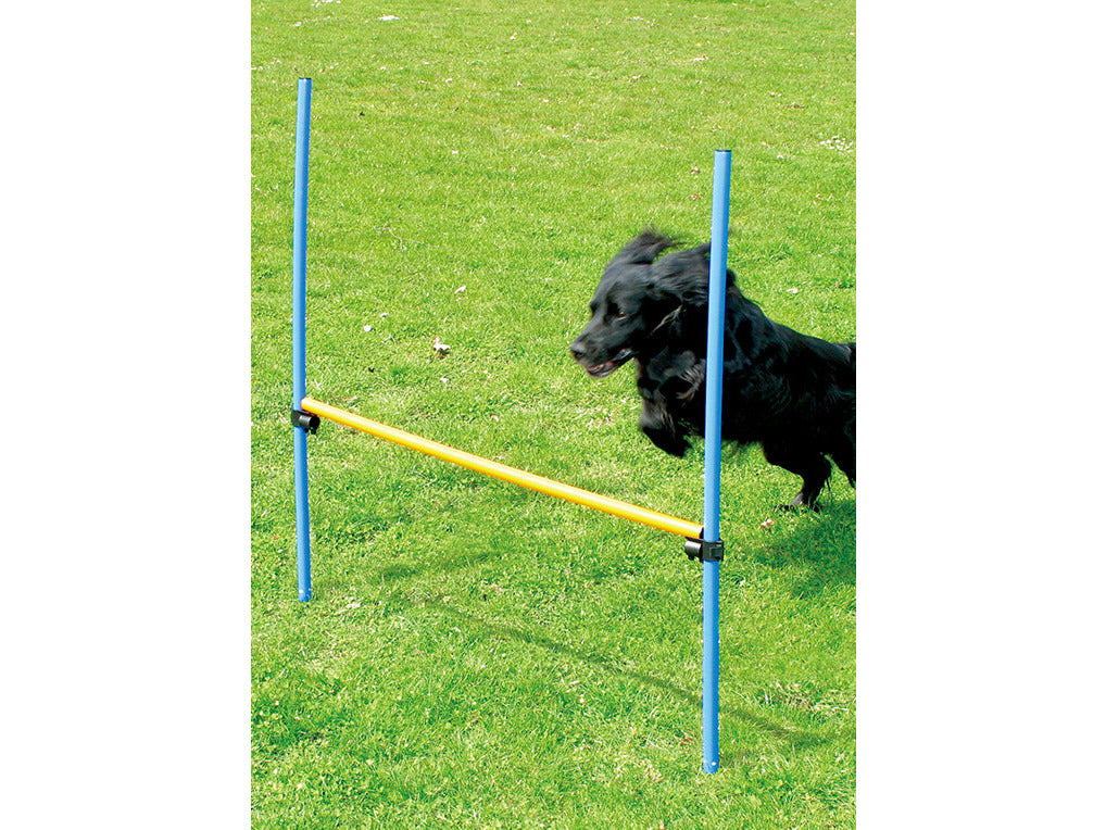 PAWISE  Agility Ring