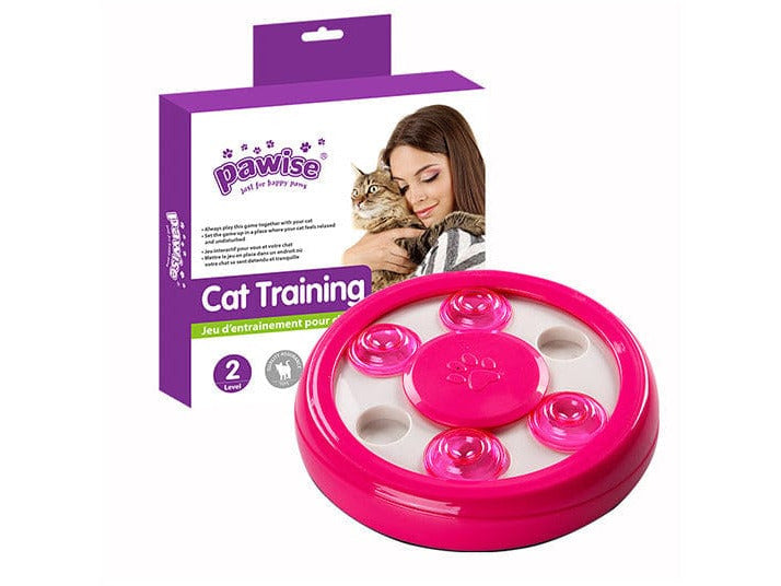 PAWISE  Cat Puzzle Toy