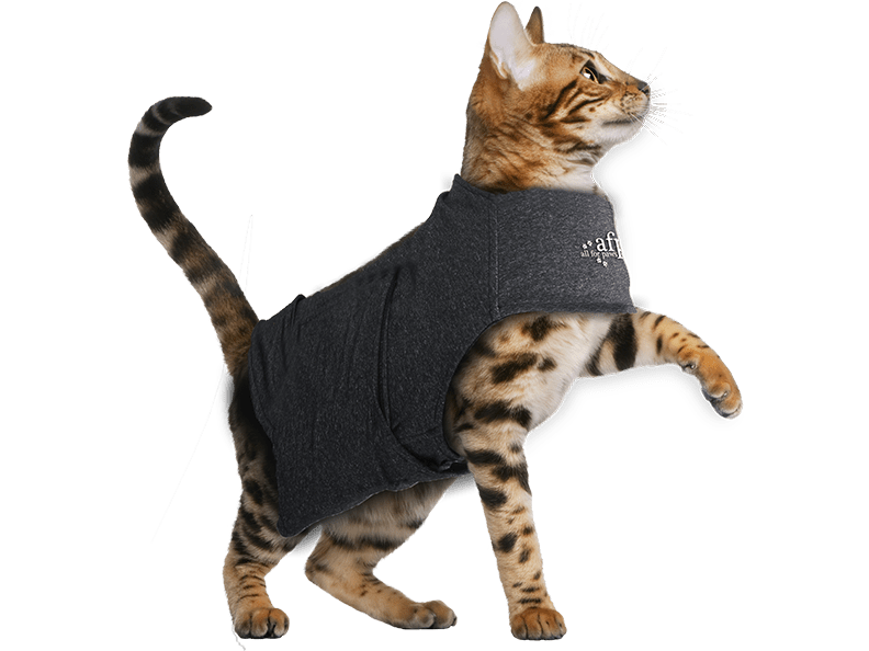 AFP Calming Pals-Cat Anti Anxiety Vest
