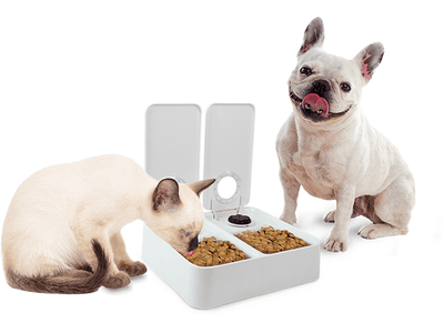 AFP Liftstyle4Pets - Double timer feeder