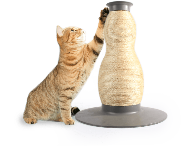 AFP Liftstyle4Pet-Vase sisal scratcher