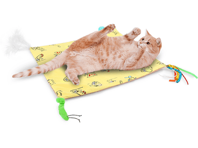 AFP Catoon - Crinkle Play Mat