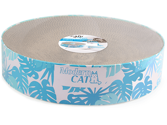 AFP Modern cat-Single large round