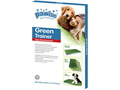 PAWISE  Green Trainer  17x27"