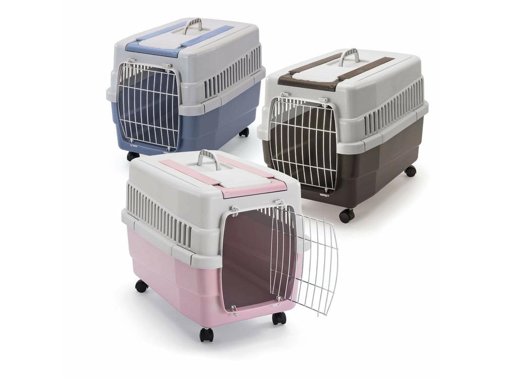 Kim 60 Mixed Color Carrier – 60 x 40 x 45 cm