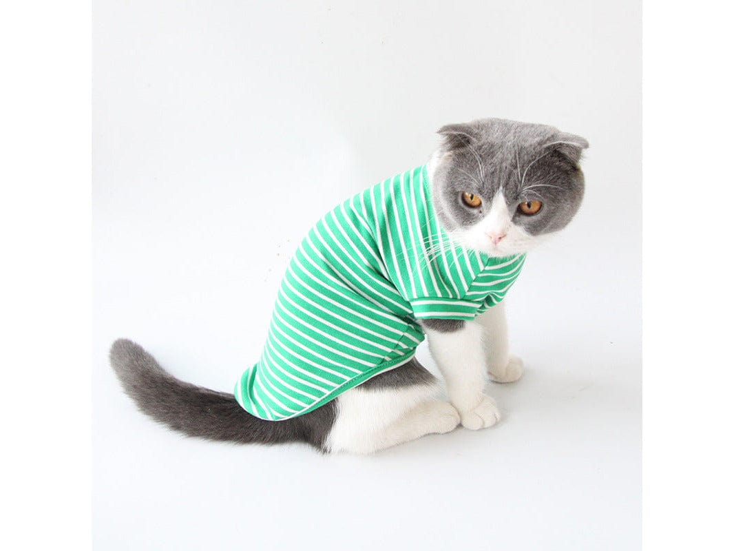Cat Clothes Type 10
