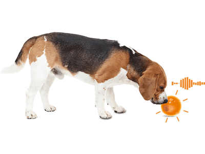 AFP (All For Paws) Calming Pals - Anti Anxiety Speaking Ball