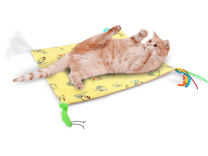 AFP (All For Paws) Catoon - Crinkle Play Mat