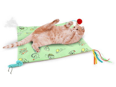AFP (All For Paws) Catoon - Crinkle Play Mat