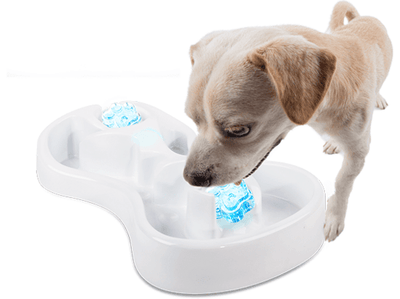 AFP (All For Paws) Chill Out - Cooling Feast