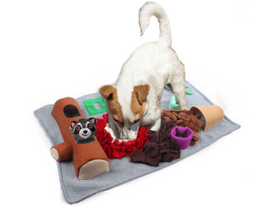 AFP (All For Paws) Dig It - Fluffy Mat With Raccoon Toy