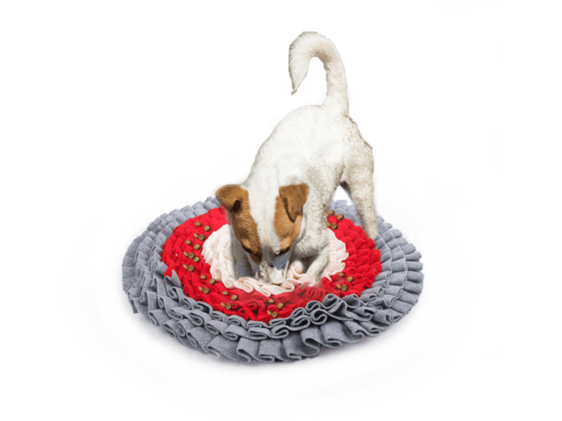AFP (All For Paws) Dig It - Round Fluffy Mat