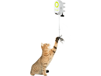 AFP(All For Paws) Interactives-Yoyo Bug