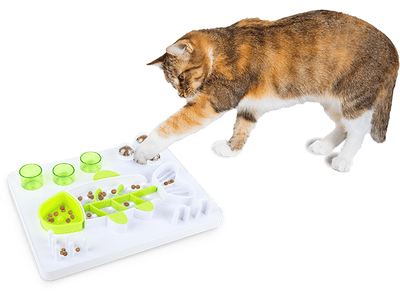 AFP(All For Paws) Interactives - Enjoy the Fish