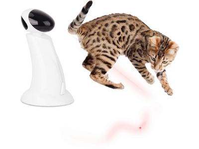 AFP(All For Paws) Interactives - Laser Beam