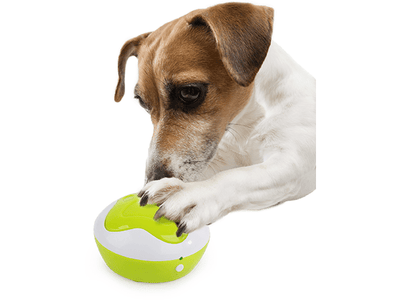 AFP(All For Paws) Interactives - Puppy Interpreter