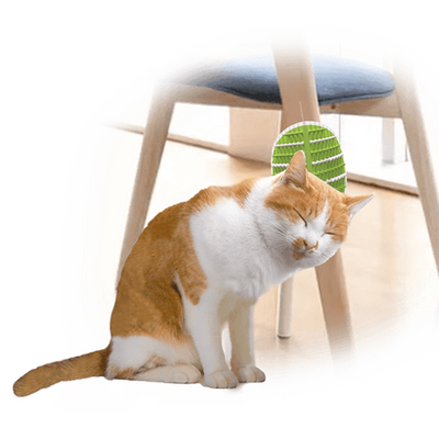 AFP Lifestyle 4 Pet-2 In 1 Groomer