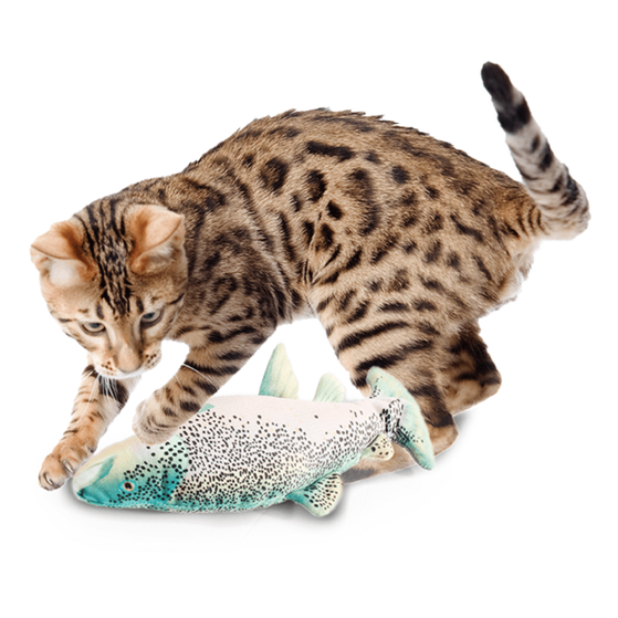 AFP Natrual Instinct - Jittering Fish Trout