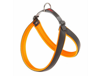 Agila Fluo 7 Harness Orange – Size A=B 63-71 cm, 25 mm
