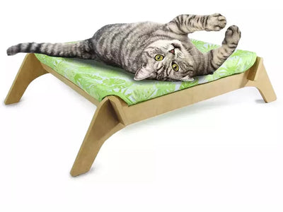 AFP Modern Cat-Cat Lounge - Green
