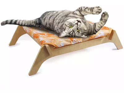 AFP Modern Cat-Cat Lounge - Orange