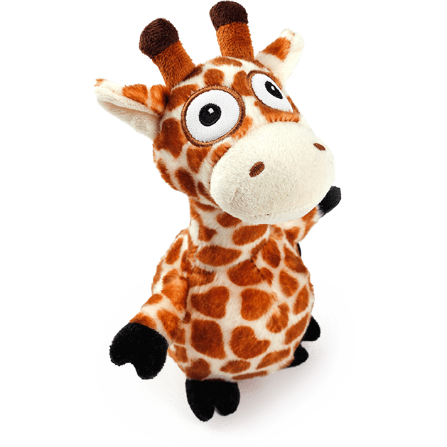 All For Paws (AFP) -Giraffe
