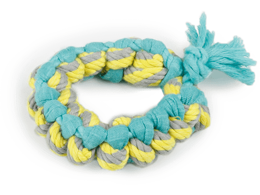 All For Paws (AFP)-Ring Multi Chew Sweater Rope