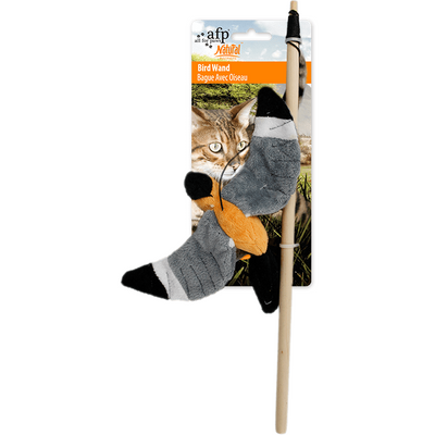 All For Paws (AFP)- Bird Wand