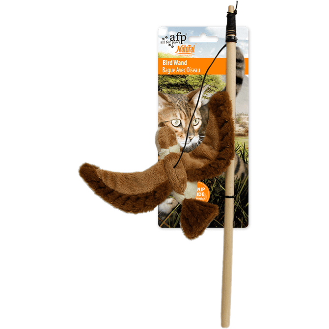 All For Paws (AFP)- Bird Wand