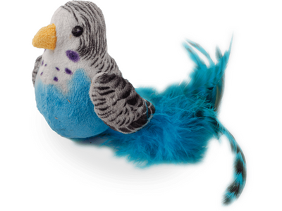 All For Paws (AFP)- Bouncing Bird