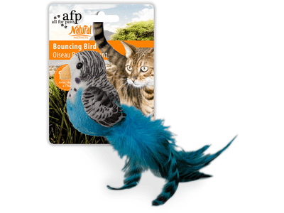 All For Paws (AFP)- Bouncing Bird