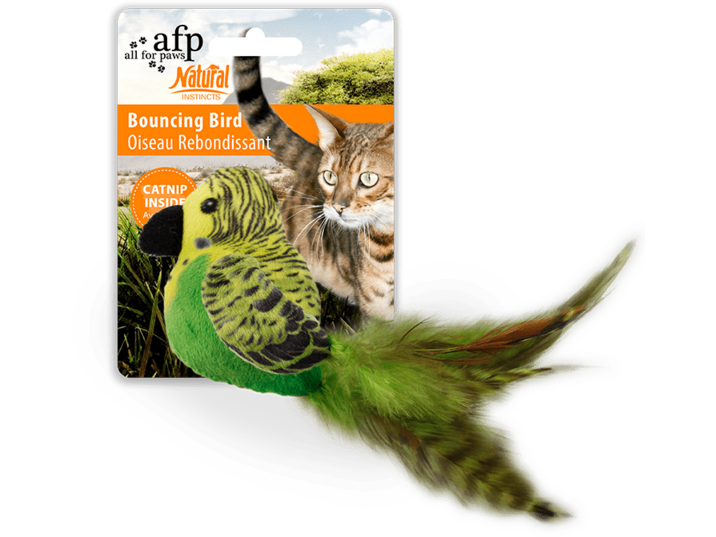 All For Paws (AFP)- Bouncing Bird