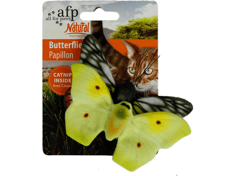 All For Paws (AFP) - Butterflies
