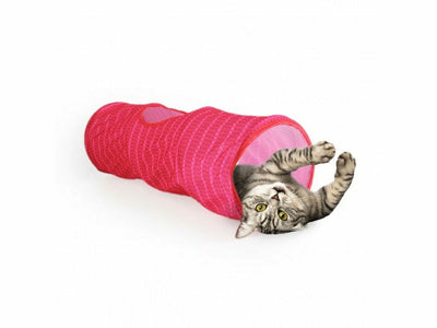 All For Paws(AFP)- Cat Tunnel