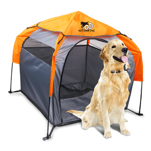 All For Paws (AFP) - Dog Pop Up Tent