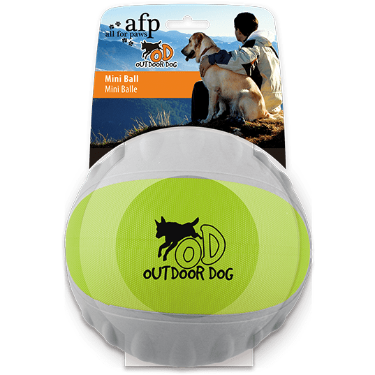 All For Paws (AFP)- Durafoam Mini Ball Green