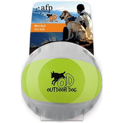 All For Paws (AFP)- Durafoam Mini Ball Green