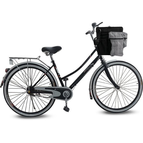 All For Paws (AFP) - Travel Dog Bicycle Deluxe Bag with Holder