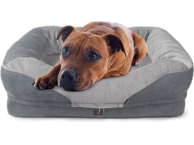 All For Paws (AFP) Lam - Sofa Bed Grey