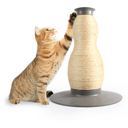 All for Paws (AFP- Vase Sisal Scratcher