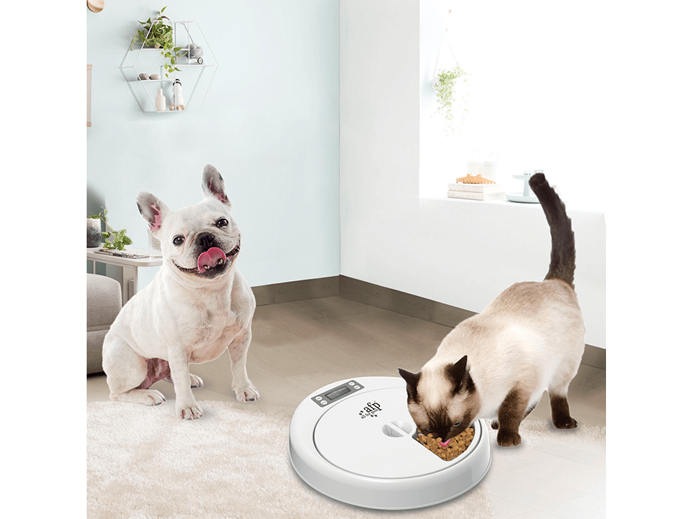 All for Paws (AFP)-5 Meal Pet Feeder