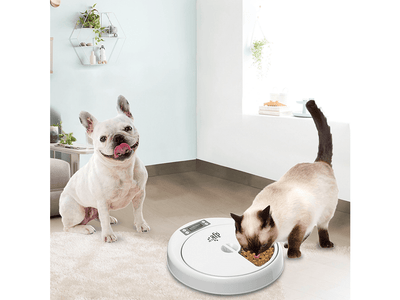 All for Paws (AFP)-5 Meal Pet Feeder
