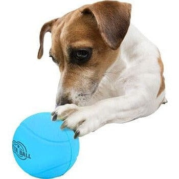 All for Paws (AFP)– Bounce &amp; Rattle Ball